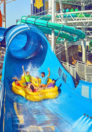 Visit to Aquaventure World Waterpark + Hotel Transfer