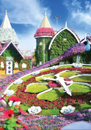 Dubai Miracle Garden + Skip The Line + Private Transfer